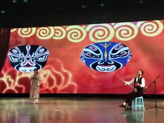 金边蝴蝶兰,赏花观叶两不误